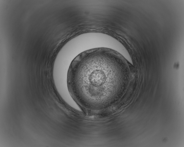 X0000090630564200707311308