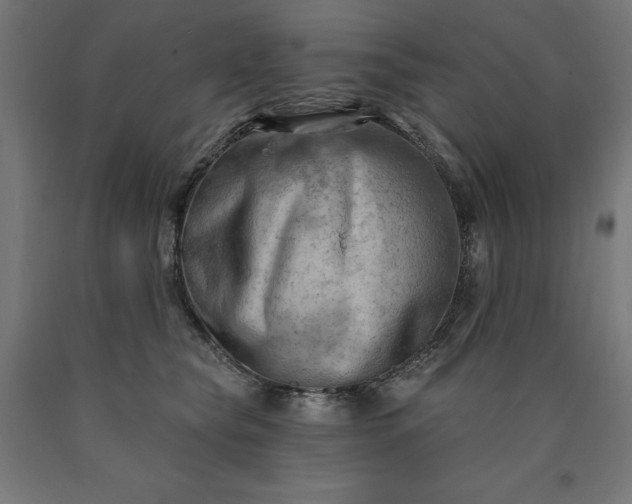 X0000090630565200707311308
