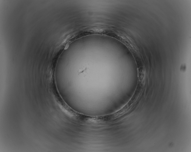 X0000090630568200707311308