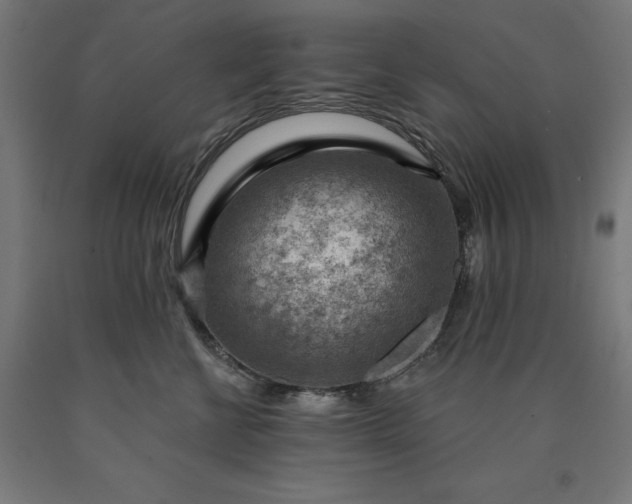 X0000090630570200707311308