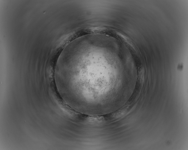 X0000090630571200707311308