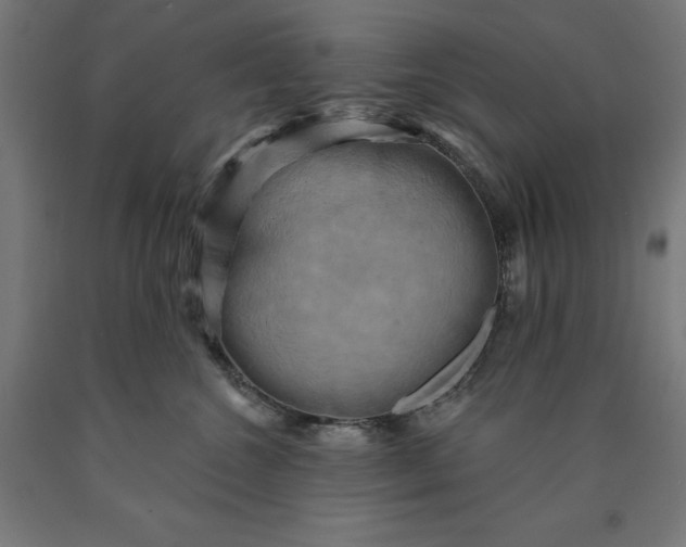 X0000090630572200707311308