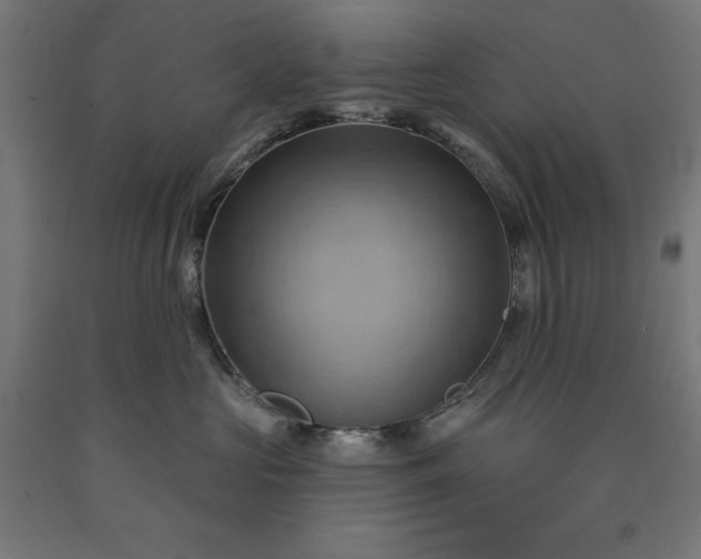 X0000090630573200707311308