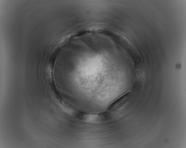 X0000090630575200707311308