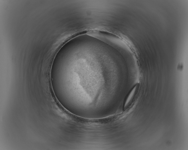 X0000090630577200707311307