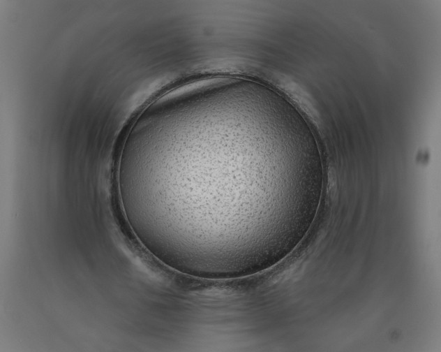 X0000090630578200707311307