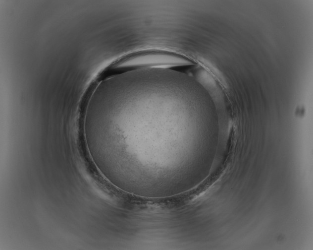 X0000090630580200707311307