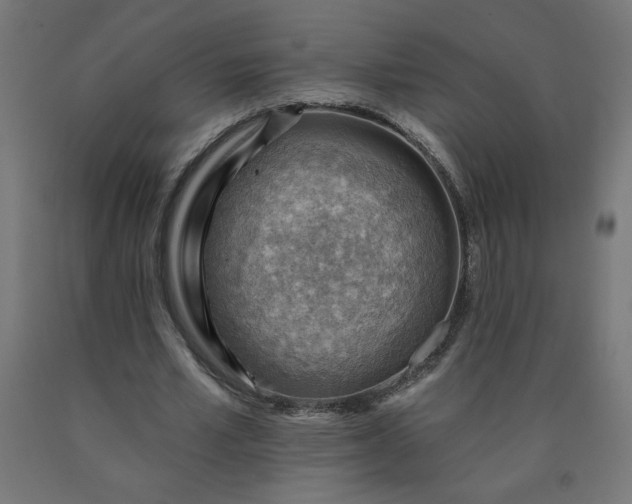 X0000090630581200707311307