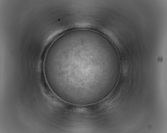 X0000090630583200707311307