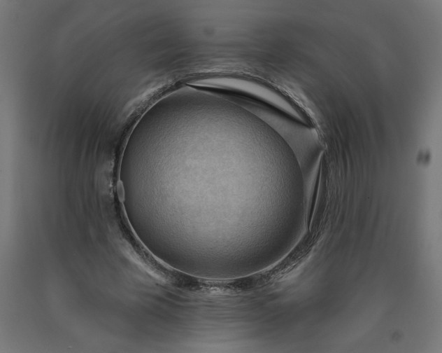 X0000090630585200707311307