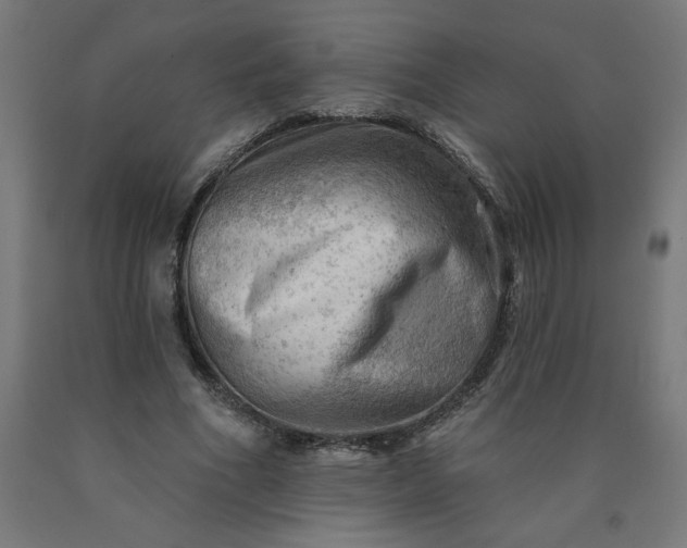 X0000090630586200707311307