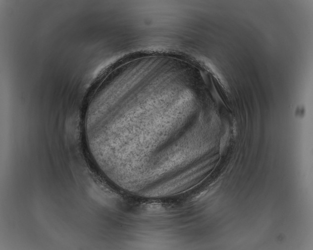 X0000090630588200707311307