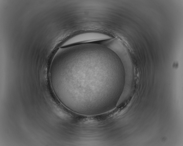 X0000090630589200707311307