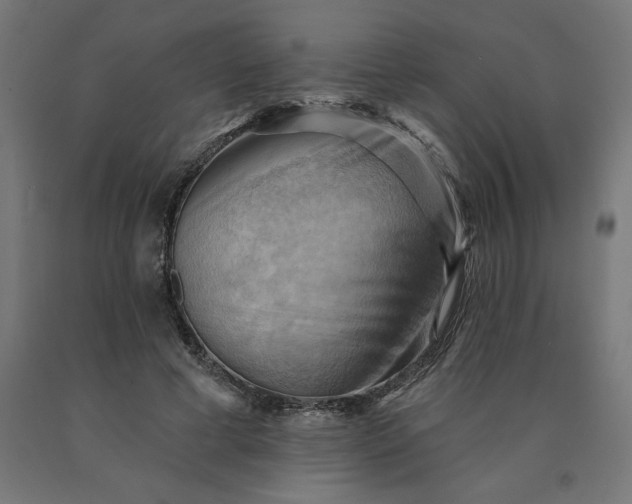 X0000090630593200707311307
