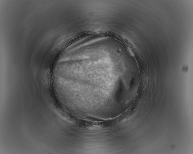 X0000090630594200707311307