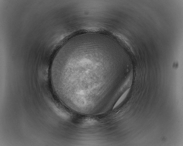 X0000090630596200707311307