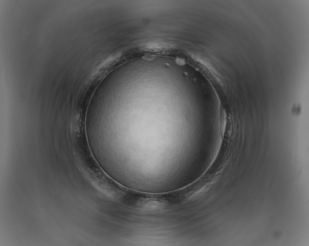 X0000090630597200707311307