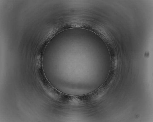X0000090630598200707311307