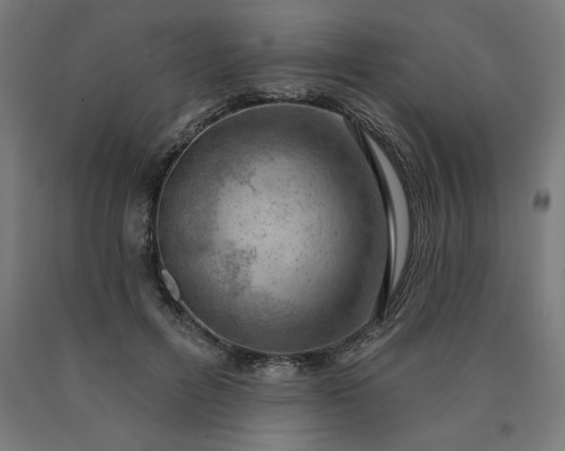 X0000090630600200707311307