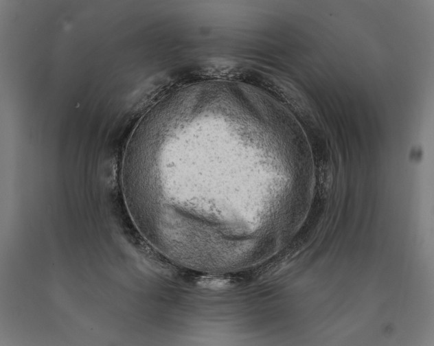 X0000090630602200707311307