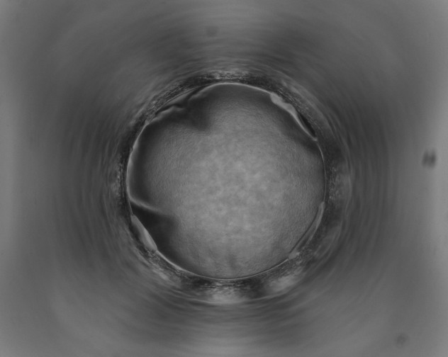 X0000090630604200707311307
