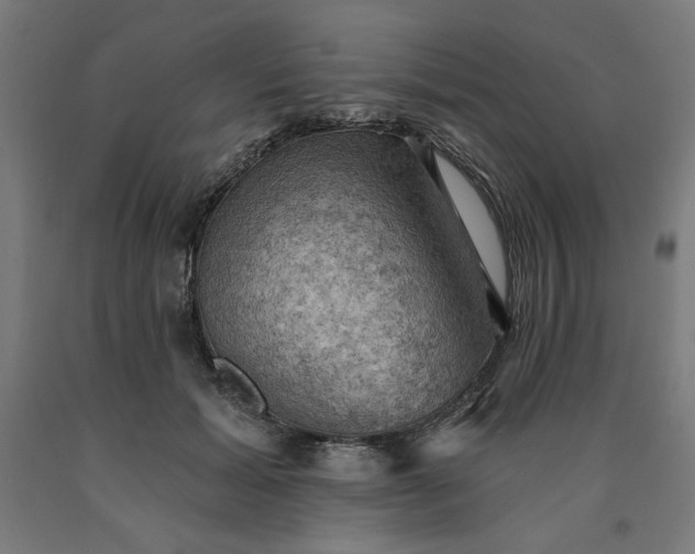 X0000090630605200707311307