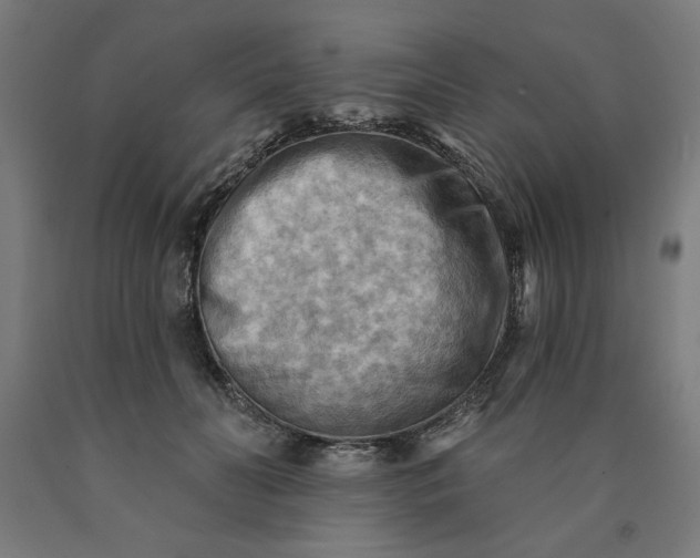 X0000090630606200707311307