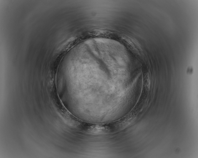 X0000090630607200707311307