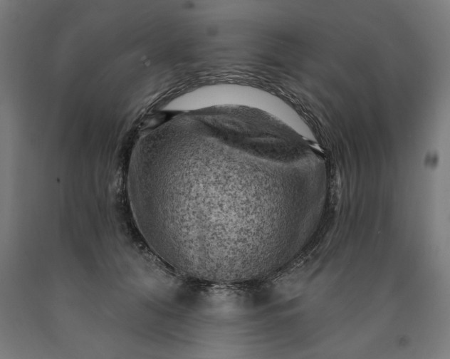 X0000090630608200707311307
