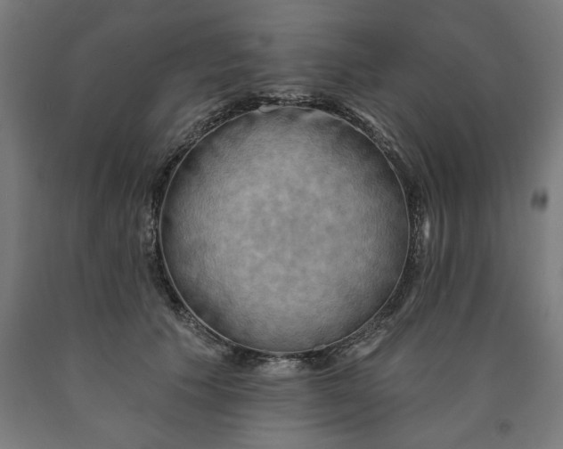 X0000090630609200707311307