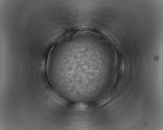 X0000090630610200707311307
