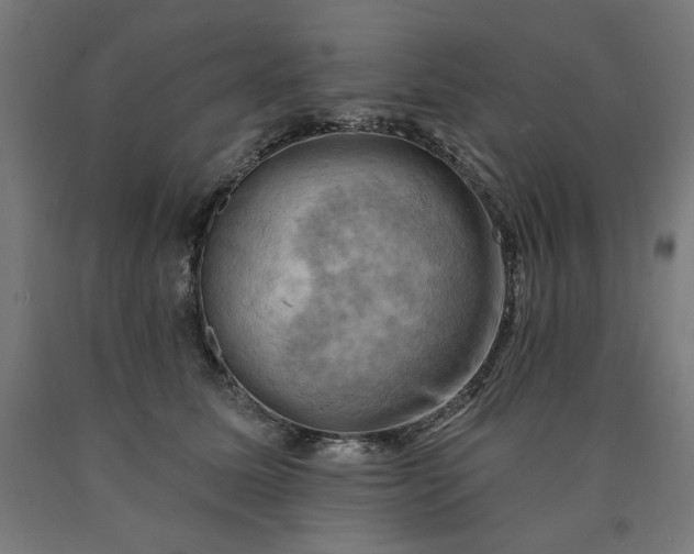 X0000090630611200707311307