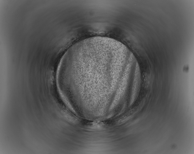 X0000090630612200707311307