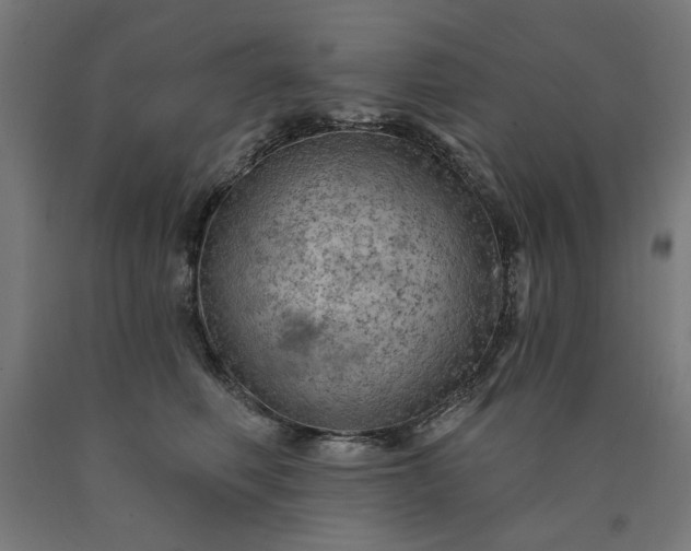 X0000090630614200707311307