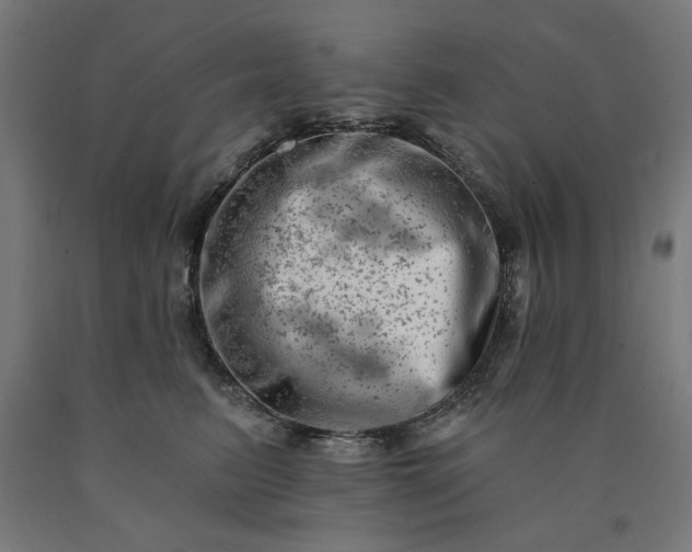X0000090630615200707311307