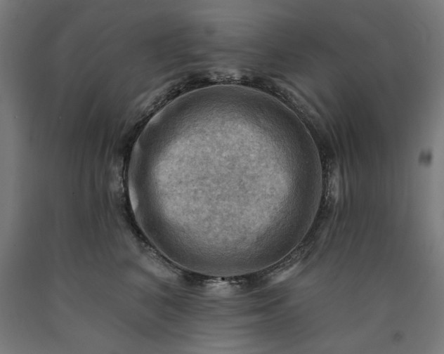 X0000090630616200707311307