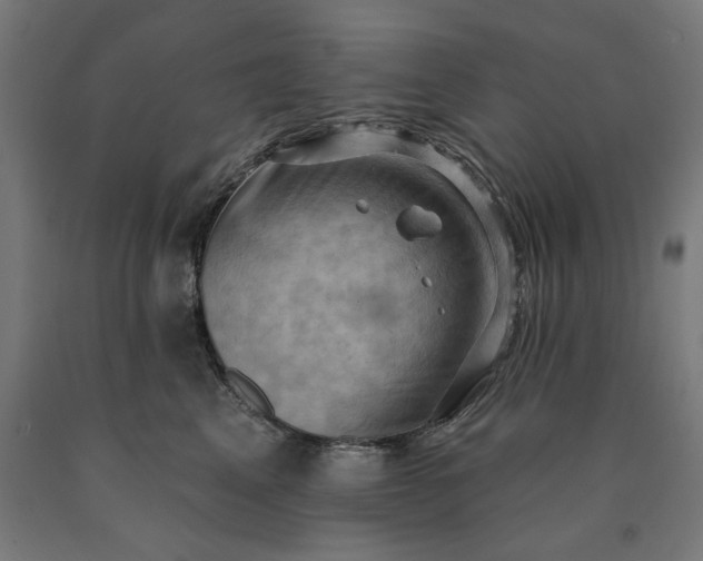 X0000090630617200707311307