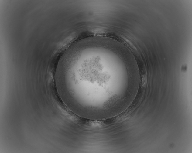 X0000090630618200707311307