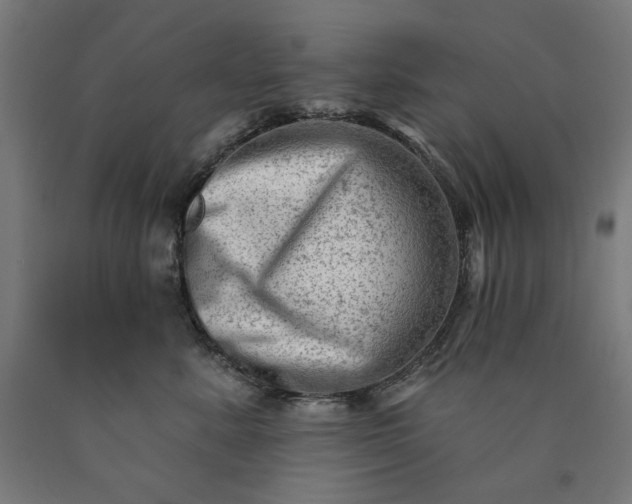 X0000090630619200707311307