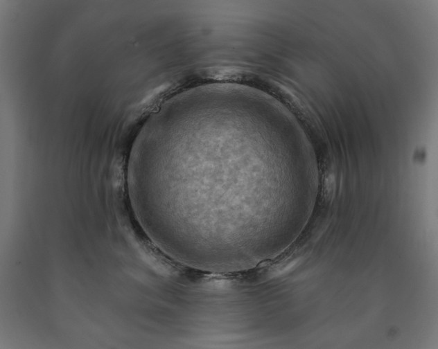 X0000090630620200707311307