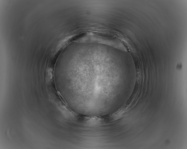 X0000090630621200707311307