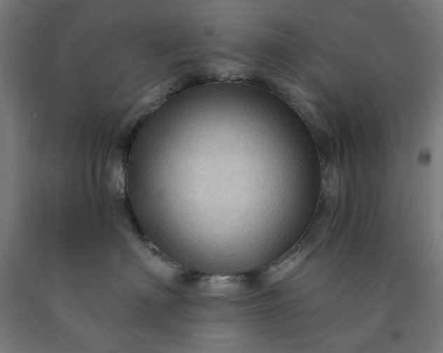 X0000090630622200707311307