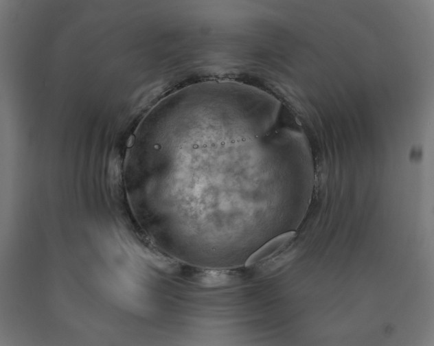 X0000090630623200707311307
