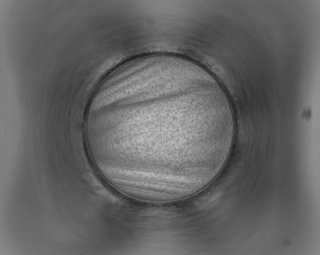 X0000090630625200707311306