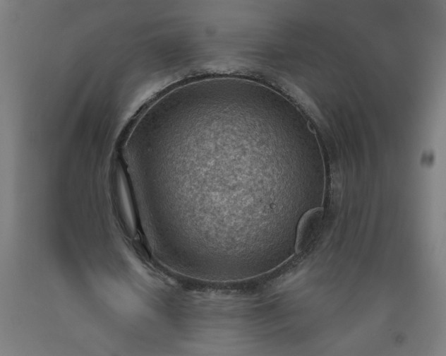 X0000090630626200707311306