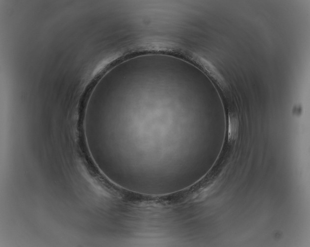 X0000090630627200707311306