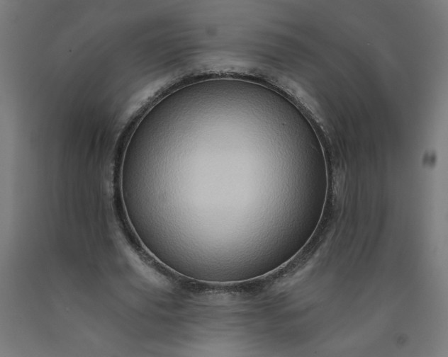 X0000090630629200707311306