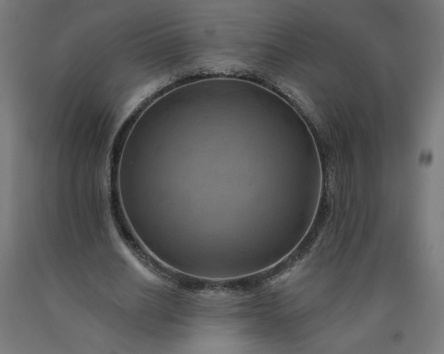 X0000090630630200707311306