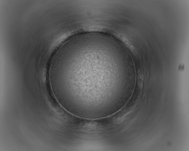 X0000090630631200707311306
