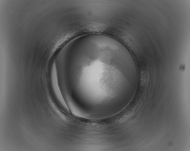 X0000090630634200707311306